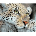 Смелый леопард Раскраска картина по номерам на холсте Menglei
