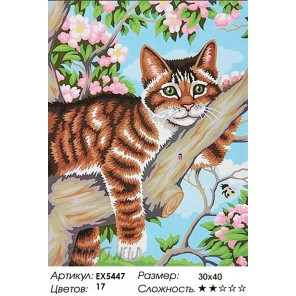Котенок Тиграша Раскраска картина по номерам акриловыми красками на холсте