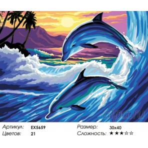 Пара дельфинов Раскраска картина по номерам акриловыми красками на холсте