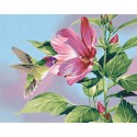 Гибискус и колибри 91419 Раскраска по номерам Dimensions