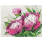 Розовые пионы Набор для вышивания Риолис