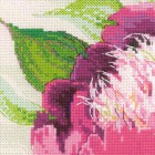 Розовые пионы Набор для вышивания Риолис