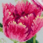 Весенние тюльпаны Набор для вышивания Риолис