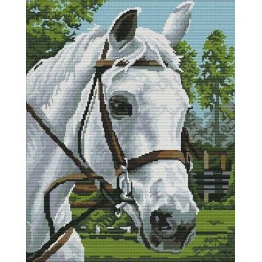Белая лошадь Алмазная мозаика вышивка Painting Diamond