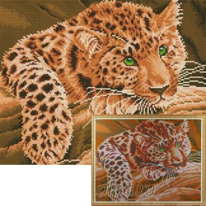 Африканский леопард Алмазная мозаика на подрамнике Цветной