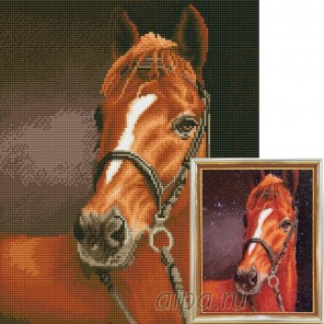 Каштановая лошадь Алмазная мозаика на подрамнике Цветной