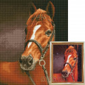 Каштановая лошадь Алмазная мозаика на подрамнике