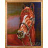 Каштановая лошадь Алмазная мозаика на подрамнике Цветной