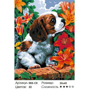Щенок и лилии Раскраска ( картина ) по номерам акриловыми красками на холсте Белоснежка