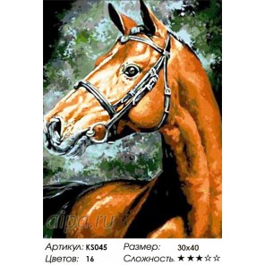Арабский скакун Раскраска картина по номерам акриловыми красками Color Kit