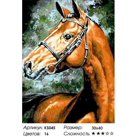 Количество цветов и сложность Арабский скакун Раскраска картина по номерам акриловыми красками Color Kit