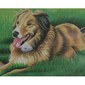 Собака на лужайке Алмазная мозаика вышивка на подрамнике Painting Diamond