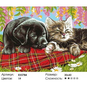 Щенок и котенок Раскраска картина по номерам акриловыми красками на холсте