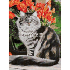 Кот на веранде Алмазная вышивка мозаика Iteso 