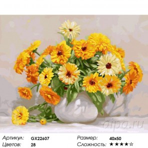 Календула Раскраска картина по номерам на холсте