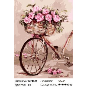 Количество цветов и сложность Винтажный велосипед Раскраска по номерам на холсте Menglei