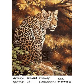 Прекрасный Леопард Раскраска по номерам на холсте Menglei