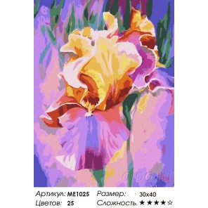 Количество цветов и сложность Ирис в лучах заката Раскраска картина по номерам на холсте Menglei