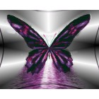 Сиреневая бабочка Алмазная вышивка (мозаика) Color Kit