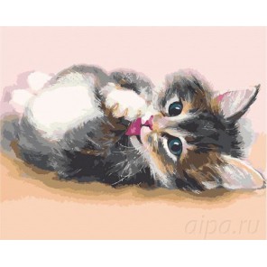 Милый котенок Раскраска картина по номерам на холсте Menglei