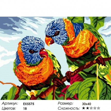 Количество цветов и сложность Какаду Раскраска картина по номерам на холсте