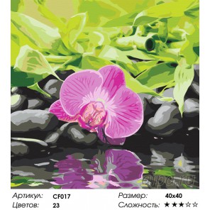 Розовое отражение Раскраска по номерам акриловыми красками на холсте Color Kit