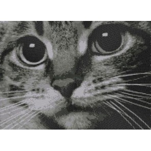 Котёнок Канва с рисунком для вышивки бисером Конек