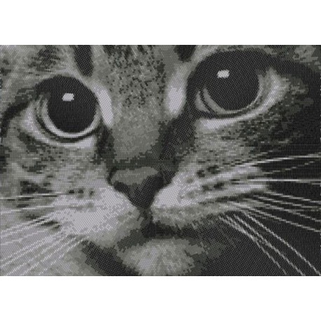 Котёнок Канва с рисунком для вышивки бисером Конек