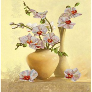 Орхидея Канва с рисунком для вышивки бисером Конек