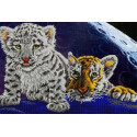Тигрята Канва с рисунком для вышивки бисером Конек