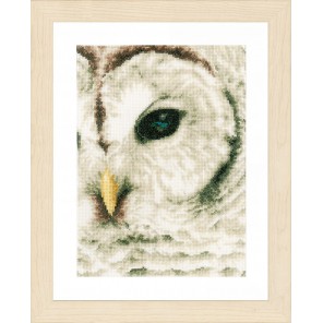  Owl Набор для вышивания LanArte PN-0163781