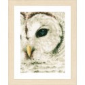 Owl Набор для вышивания LanArte