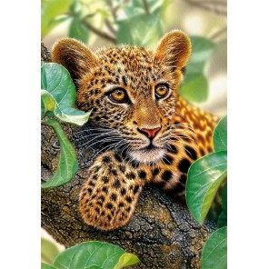 Внешний вид коробки Ягуар на дереве Пазлы Castorland C151493