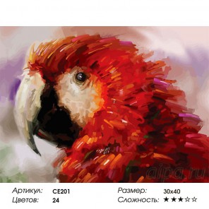 Сложность и количество красок Попугай Раскраска картина по номерам на холсте CE201