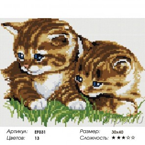  Два котенка Алмазная мозаика вышивка на подрамнике EF031