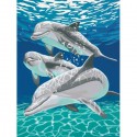 Дельфины 91326 Раскраска по номерам Dimensions