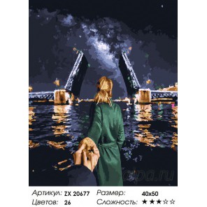  Санкт-Петербург. Следуй за мной Раскраска картина по номерам на холсте ZX 20677