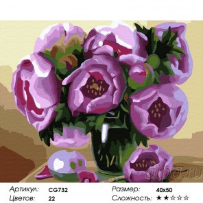 Сложность и количество красок Натюрморт с пионами Раскраска по номерам на холсте CG732
