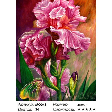 Сложность и количество цветов Розовый ирис Алмазная вышивка (мозаика) Color Kit