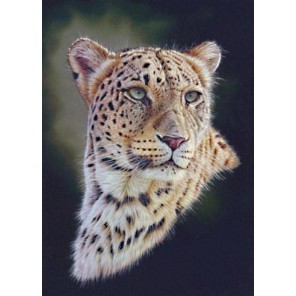  Персидский леопард Набор для вышивания Kustom Krafts 98487