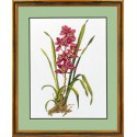 Красная орхидея Набор для вышивания Eva Rosenstand
