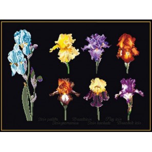  Цветы ириса Набор для вышивания Thea Gouverneur 3051.05