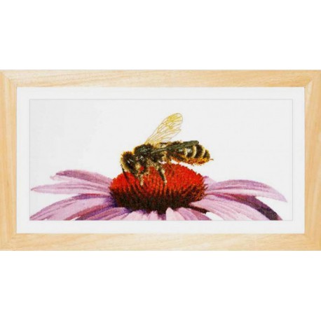  Пчела на эхинацее Набор для вышивания Thea Gouverneur 549A