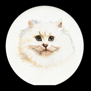 Белый персидский кот Набор для вышивания Thea Gouverneur 1045