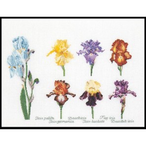  Группа цветов ириса Набор для вышивания Thea Gouverneur 3051