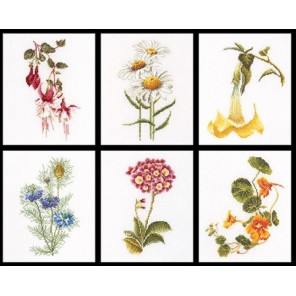 Шесть цветочных исследований Набор для вышивания Thea Gouverneur 3084