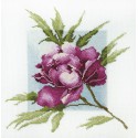 Лиловый пион по рисунку А. Майской Набор для вышивания Марья Искусница