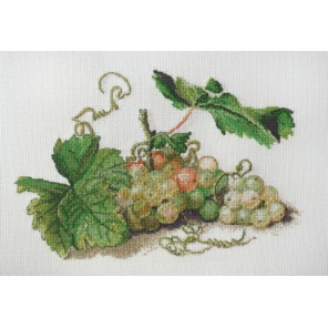  Ветка винограда по рисунку Ф. Толстого Набор для вышивания Марья Искусница 06.001.18