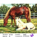 Лошадь и жеребенок Алмазная мозаика вышивка на подрамнике Painting Diamond