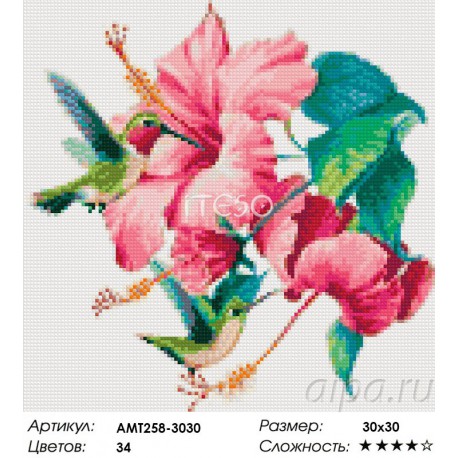 Сложность и количество цветов Колибри над цветком гибискуса Алмазная мозаика на твердой основе Iteso